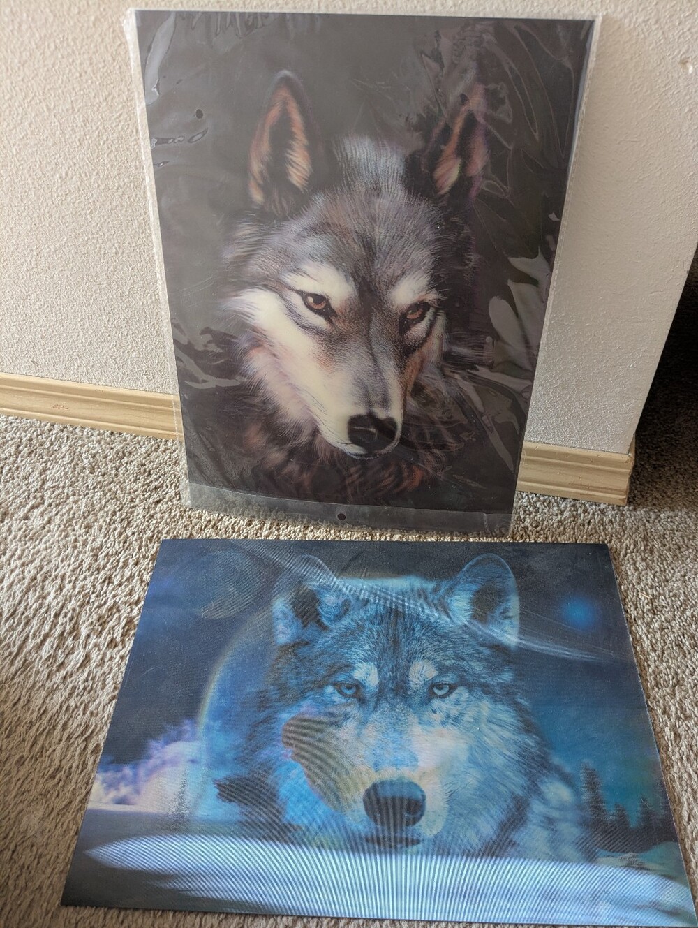 3D Lenticular Wolf Posters (2)